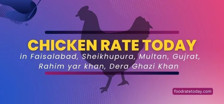 chicken-rate-today-multan-latest-2024