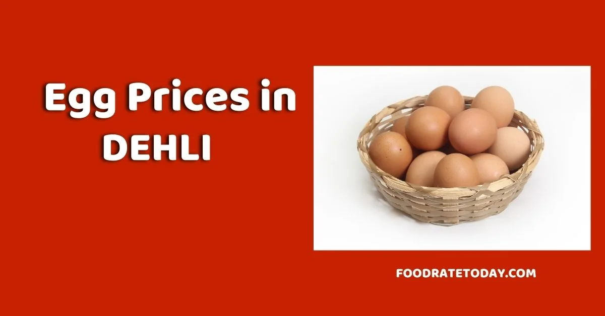 Egg Rate Today In Dehli Retail & Wholesale Rates NECC Prices 2024